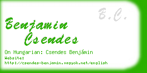 benjamin csendes business card